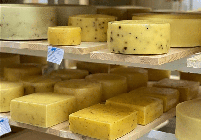 shutterstock_1786696019 2-1