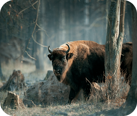 shutterstock_1786696019 2-1