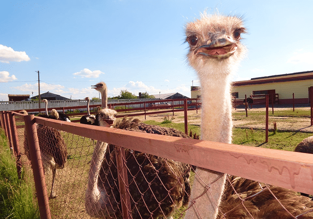 shutterstock_1786696019 2-2