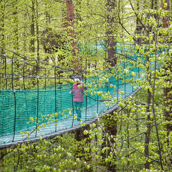 shutterstock_1786696019 2-4