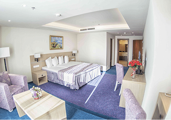 shutterstock_1786696019 3