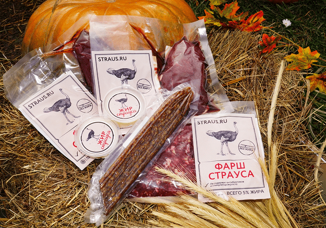 shutterstock_1786696019 3-2