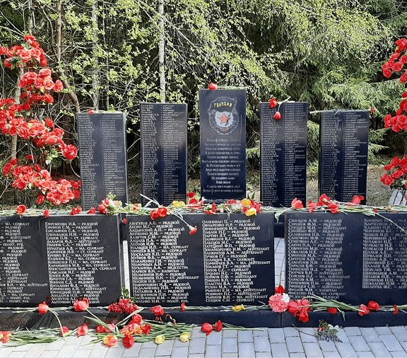 shutterstock_1786696019 3-6