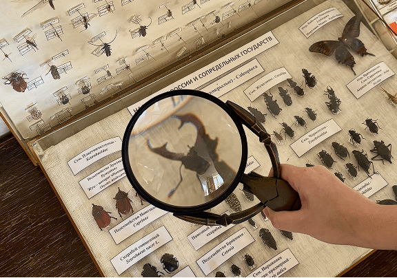 shutterstock_1786696019 3-8