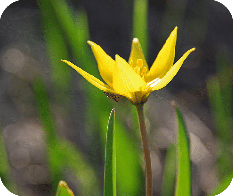 shutterstock_1786696019 4-1