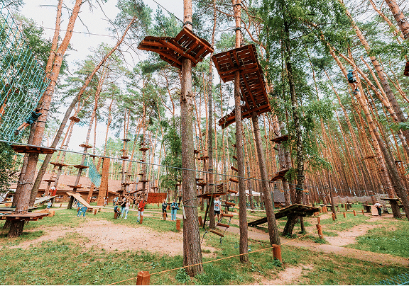 shutterstock_1786696019 4