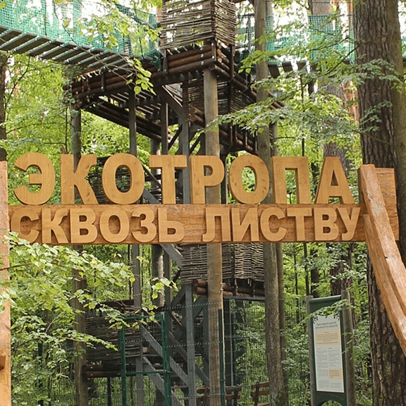 shutterstock_1786696019 4-4